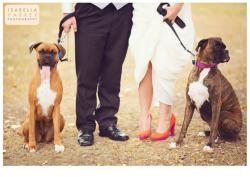 Nicole and Jamie's Wedding